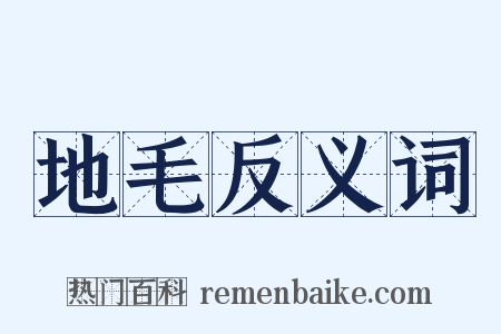 地毛反义词是什么意思的图片